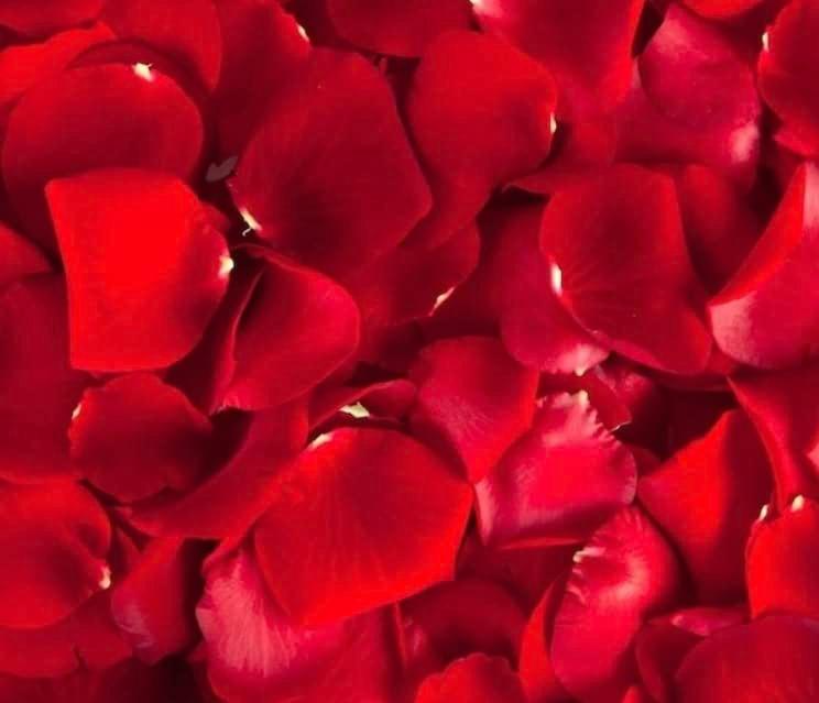 Rose Face & Body Oil